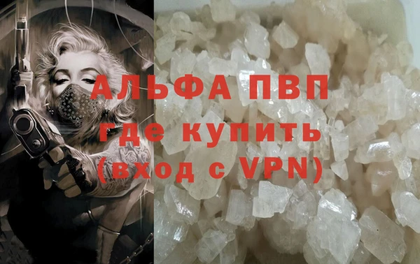 PSILOCYBIN Волоколамск
