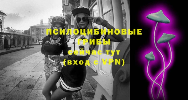 PSILOCYBIN Волоколамск
