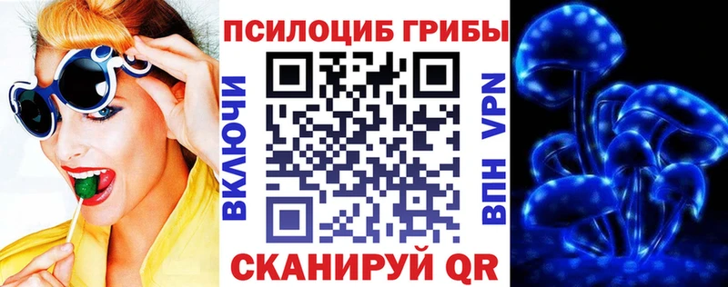 Галлюциногенные грибы Cubensis Ноябрьск